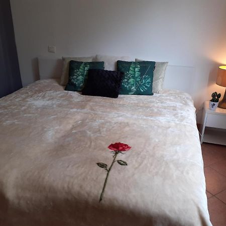 Logement Calme Et Agreable A Proximite D'Ajaccio Canale Cabanes Εξωτερικό φωτογραφία